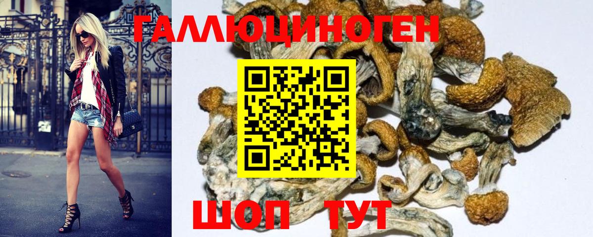Псилоцибиновые грибы MAGIC MUSHROOMS  Вход с VPN  Ярцево 